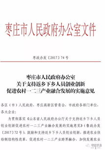 返乡,扶持,创新奖,创业