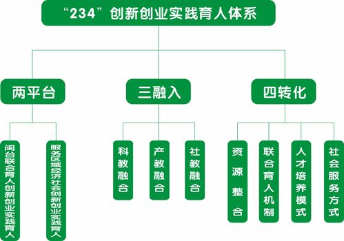 实践,体系,创新,创业