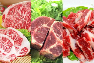 锡盟牛羊肉生产厂家,锡盟牛羊肉专卖店,锡盟牛羊肉介绍