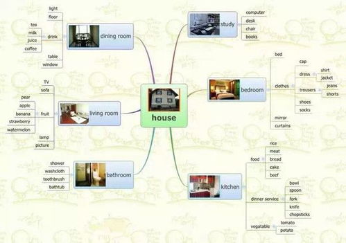 为主题,思维,创新,创业