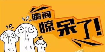 注意事项,面试,创新,创业