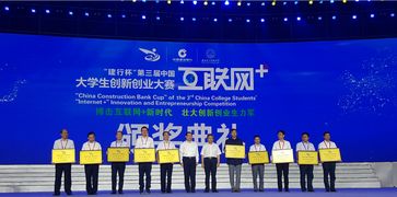 互联网加创新创业第三届金奖