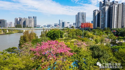 离岸创新创业基地运营模式