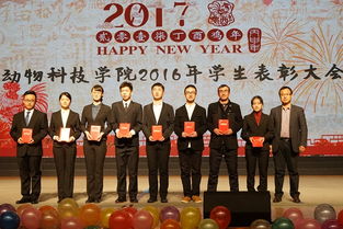 西农创新创业先进个人