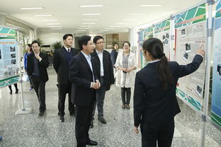 大学生创新创业社会实践成果