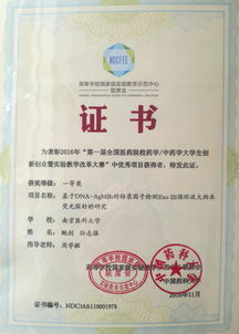 中药学创新创业部