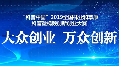 2019创新创业大赛官方