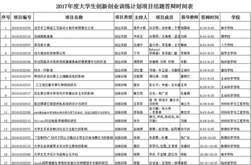创业项目,结题,心得,创新