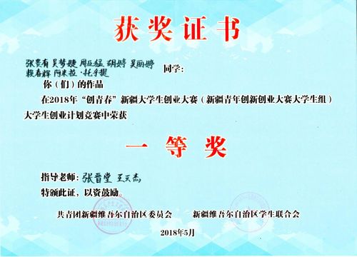 计划书,获奖,案例,挑战杯