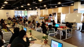 公司创新创业孵化实训基地