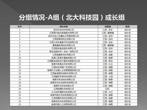 中国,评分,大赛,创新