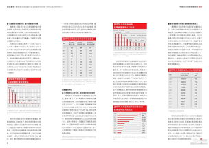 中国,创新,创业,报告