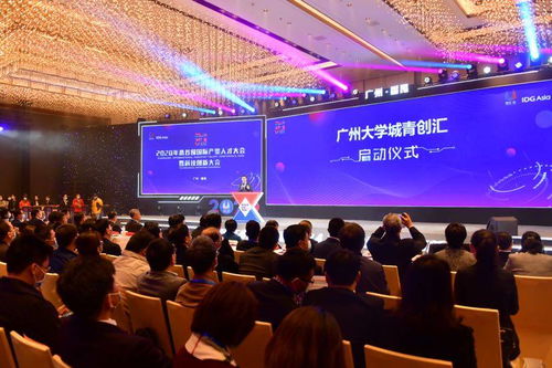 创新创业实践报告,创新创业读书报告,大学生创新创业报告