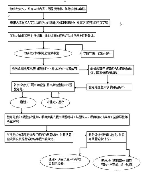 执行情况,过程中,创业项目,财务