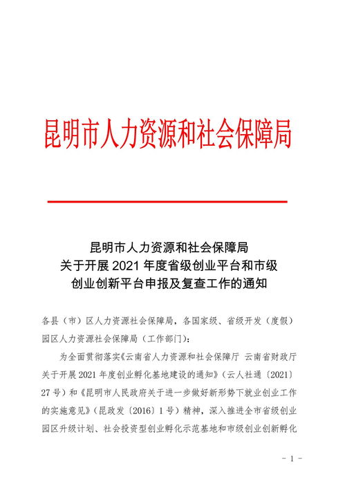 创新,创业,报告,学农