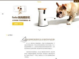 创新创业智能喂狗