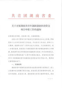 湖南省青创新创业扶持资金项目申请表