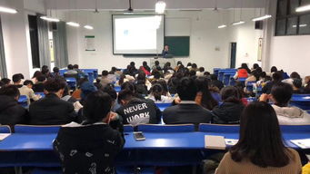 化学专业创新创业方向,财管专业创新创业方向,艺术类专业创新创业方向