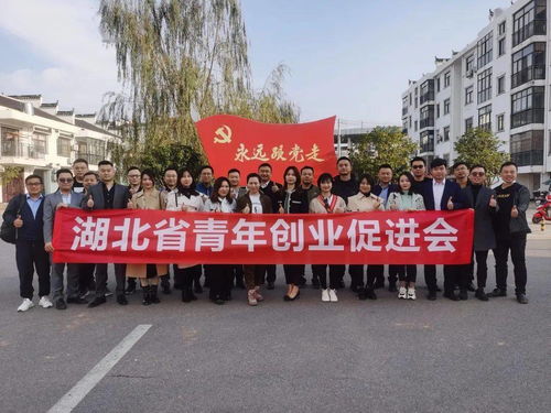 武汉农村创业创新乡镇