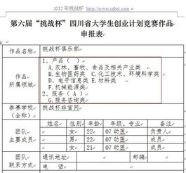 计划书,挑战杯,创新,创业