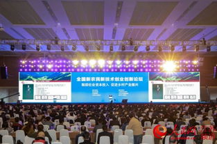 博览会,农民,创新,创业