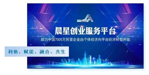 我的创新创业梦想,创新创业梦想心得体会,大学生创新创业梦想