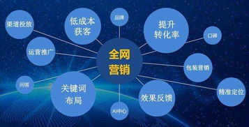 概念,创新,创业