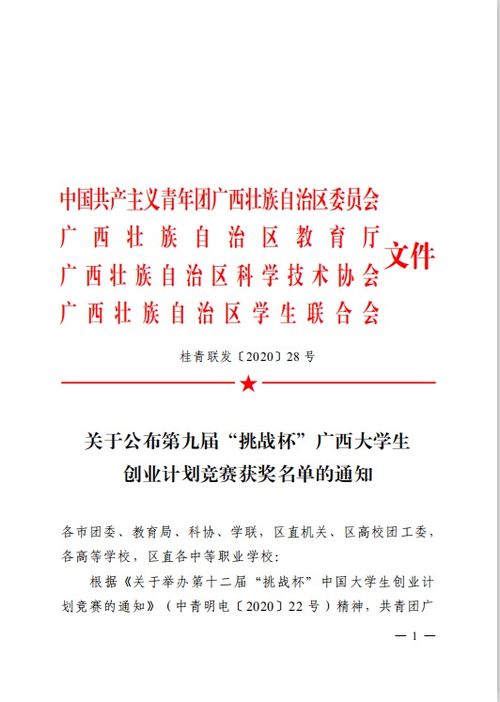 创新创业挑战杯计划书