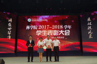 评语,先进个人,创新,创业