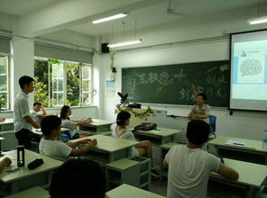 创新,创业,学院,SWOT
