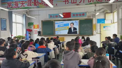 团市委服务青创新创业