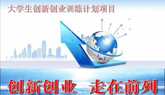 创新创业项目训练