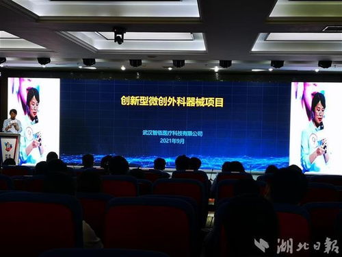 武汉大学,大赛,创新,创业