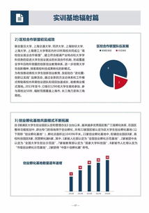 创新创业实训报告总结,创新创业模拟实训报告,创新创业纳税筹划实训报告