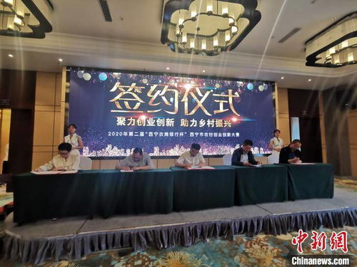 青海省,创新,创业,人才