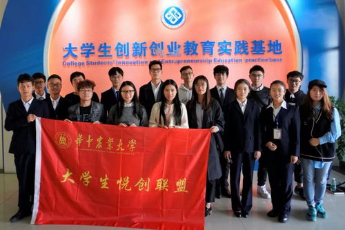 大学生创新创业团队成员优势怎么写
