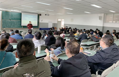 创新创业大赛的指导老师项目分工
