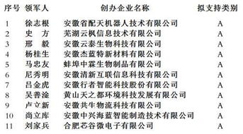 管理团队,创业项目,创新