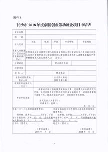 带动,申请报告,就业,创新