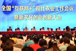 农业创业创新典型人物故事,农业创业创新学员心得体会,农业创新创业案例