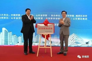 新侨创新创业示范基地类型