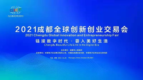 英文,交通运输,实践,案例