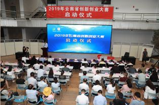 创新创业成果怎么写,创新创业预期成果,创新创业成果简述