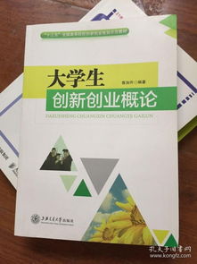 创新创业的感悟与收获,对创新创业课的感悟,互联网与创新创业感悟