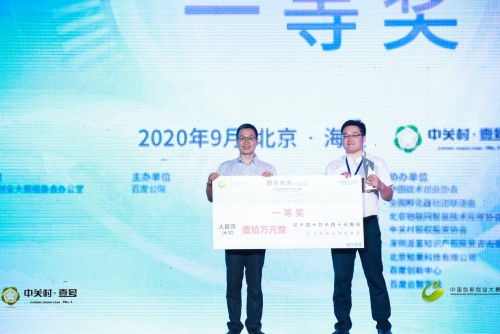创新创业发展部面试