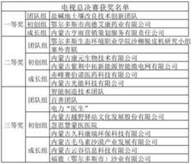 创新创业大赛结项表