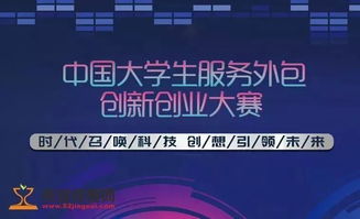 中国大学生服务外包创新创业大赛作品