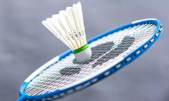 上海航天创新创业中心羽毛球场地