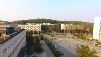 湖南农业大学创新创业教育中心