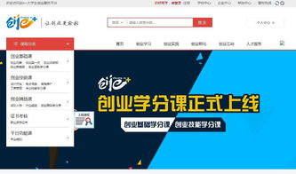 创新创业能力教改项目